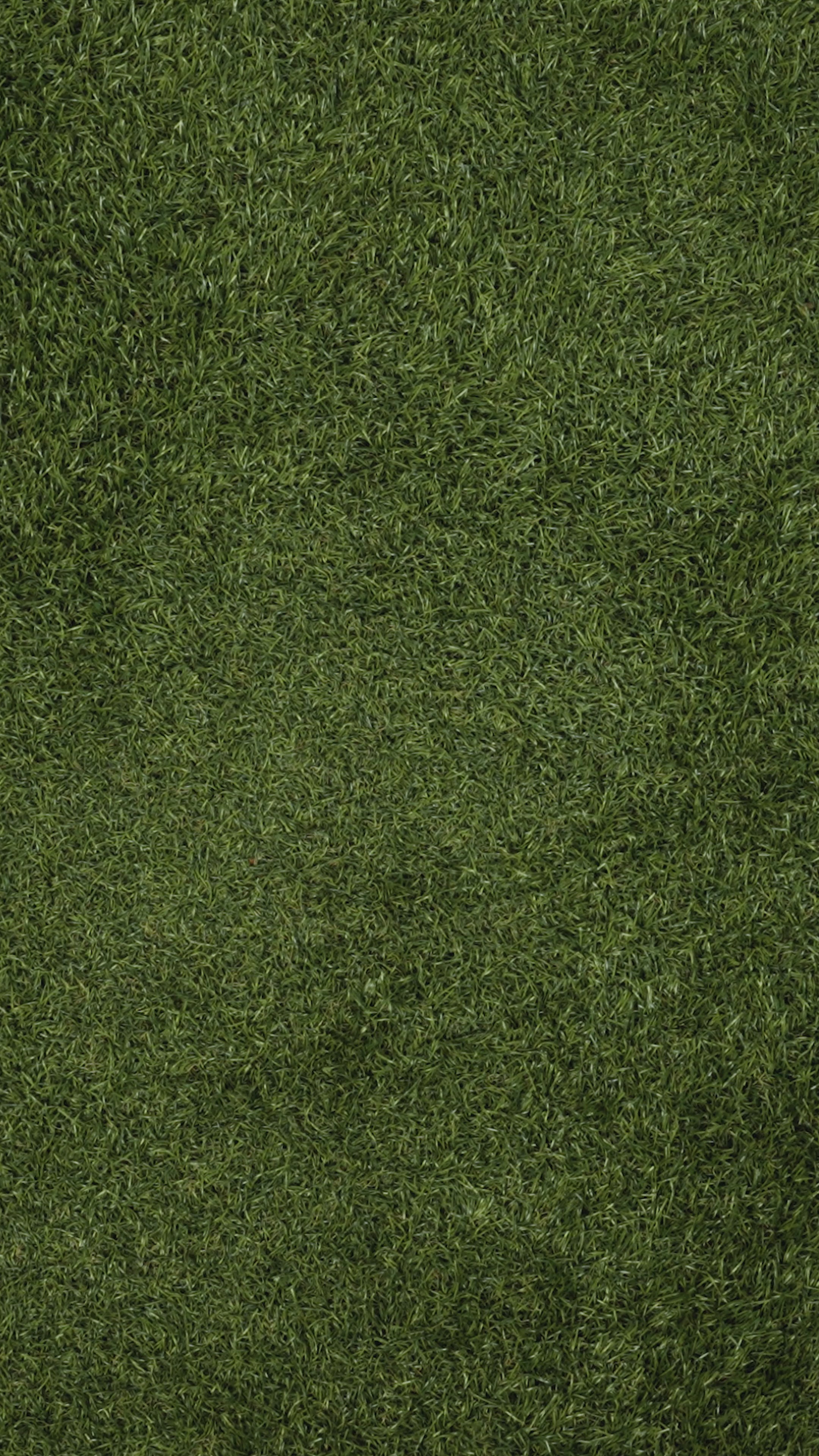 The Scratch Off Bundle