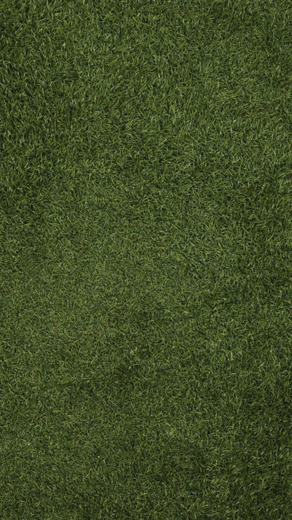 The Scratch Off Bundle